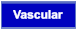 Vascular