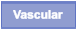 Vascular
